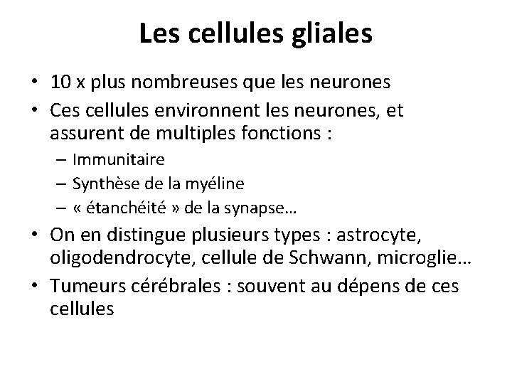 Les cellules gliales • 10 x plus nombreuses que les neurones • Ces cellules