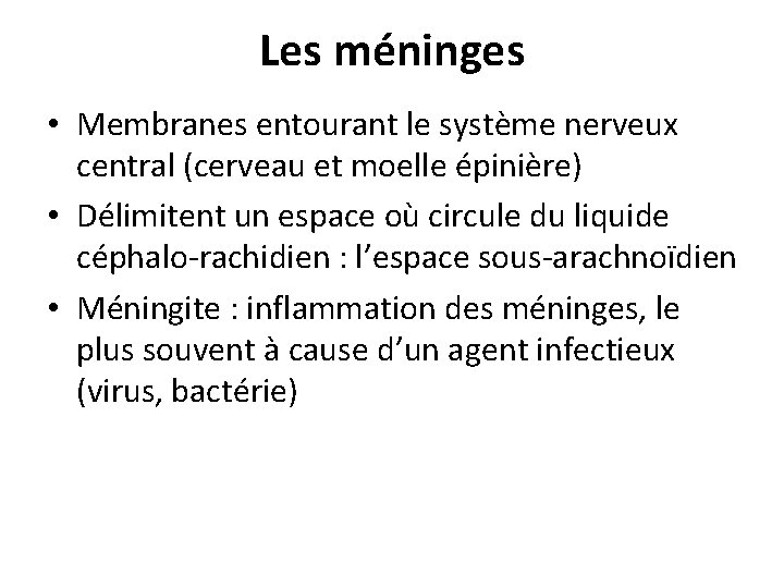 Les méninges • Membranes entourant le système nerveux central (cerveau et moelle épinière) •