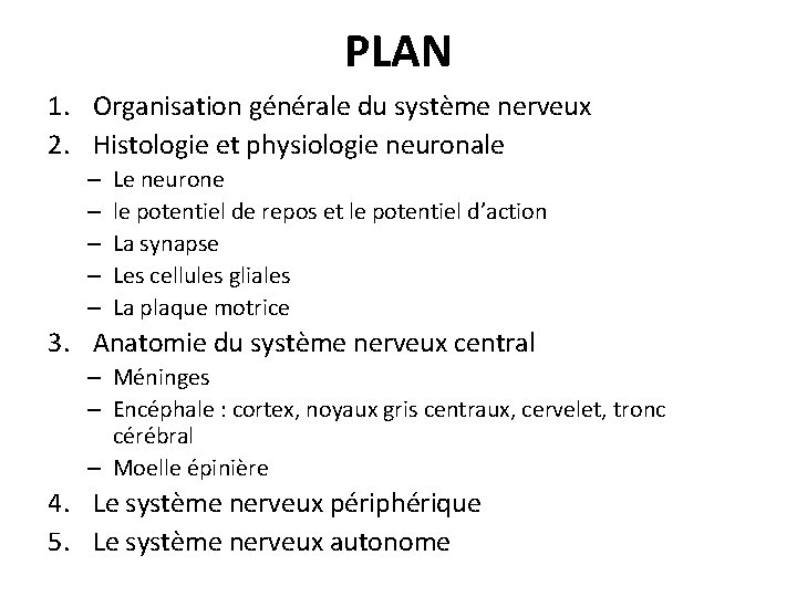 PLAN 1. Organisation générale du système nerveux 2. Histologie et physiologie neuronale – –