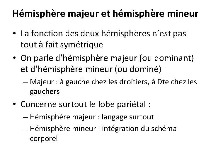 Hémisphère majeur et hémisphère mineur • La fonction des deux hémisphères n’est pas tout