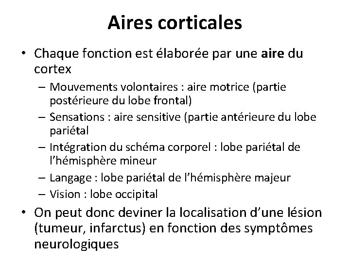 Aires corticales • Chaque fonction est élaborée par une aire du cortex – Mouvements