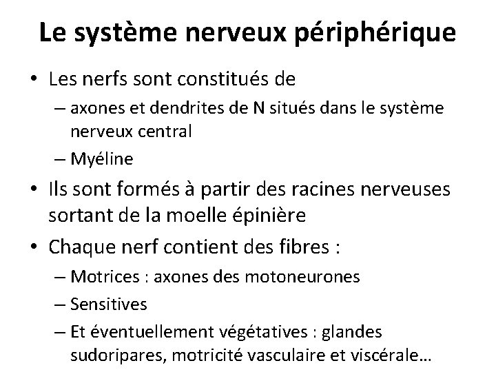 Le système nerveux périphérique • Les nerfs sont constitués de – axones et dendrites