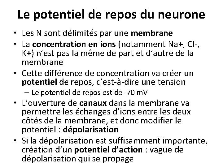 Le potentiel de repos du neurone • Les N sont délimités par une membrane