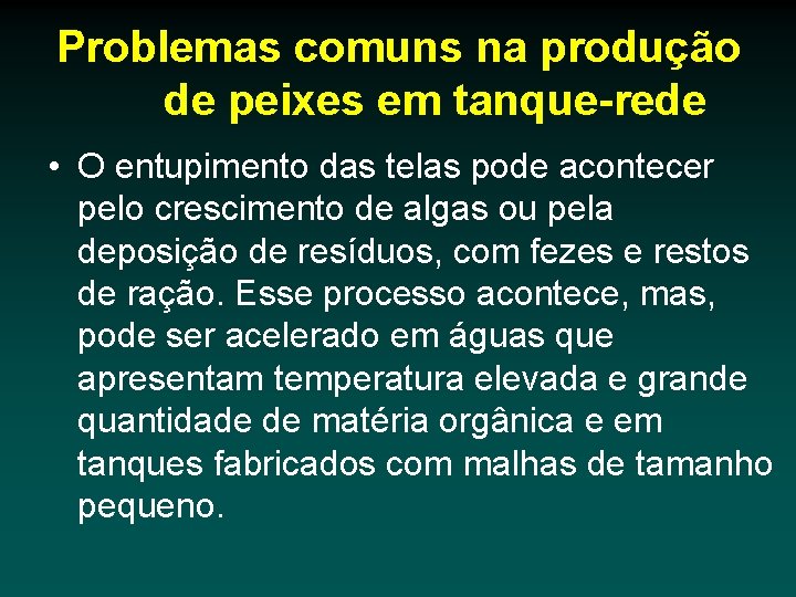 Problemas comuns na produção de peixes em tanque-rede • O entupimento das telas pode