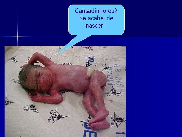 Cansadinho eu? Se acabei de nascer!! 