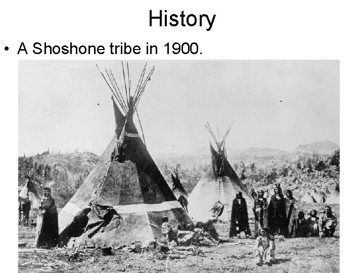History • A Shoshone tribe in 1900. 