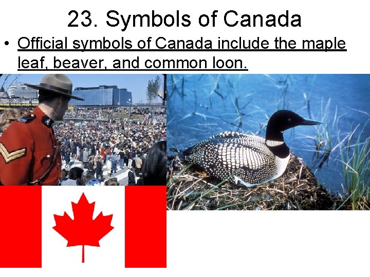 23. Symbols of Canada • Official symbols of Canada include the maple leaf, beaver,