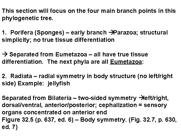 This section will focus on the four main branch points in this phylogenetic tree. This section will focus on the four main branch points in this phylogenetic tree.