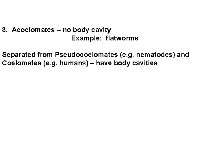 3. Acoelomates – no body cavity Example: flatworms Separated from Pseudocoelomates (e. g. nematodes) 3. Acoelomates – no body cavity Example: flatworms Separated from Pseudocoelomates (e. g. nematodes)