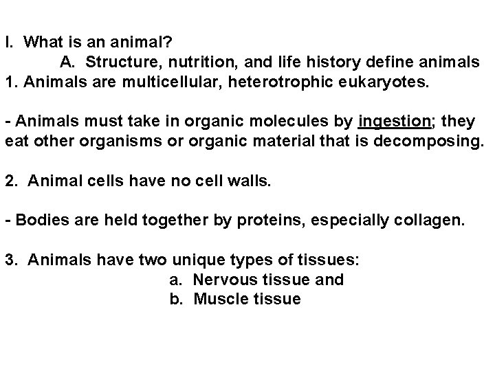 I. What is an animal? A. Structure, nutrition, and life history define animals 1. I. What is an animal? A. Structure, nutrition, and life history define animals 1.