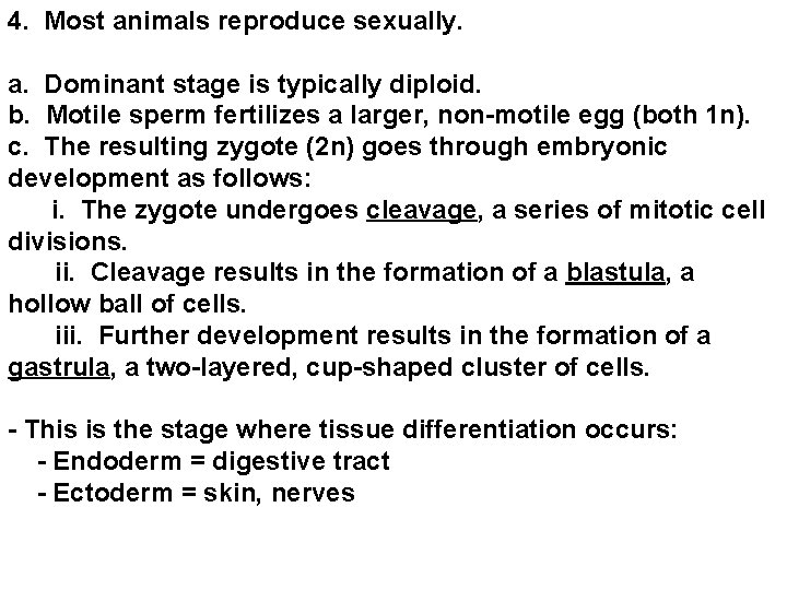 4. Most animals reproduce sexually. a. Dominant stage is typically diploid. b. Motile sperm 4. Most animals reproduce sexually. a. Dominant stage is typically diploid. b. Motile sperm