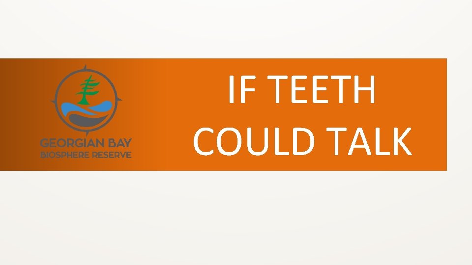 IF TEETH COULD TALK 