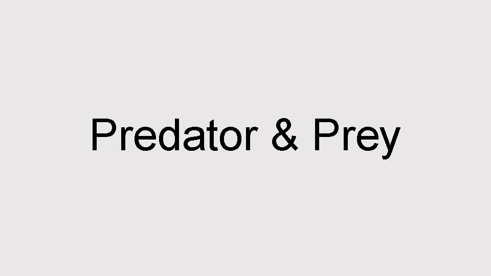 Predator & Prey 