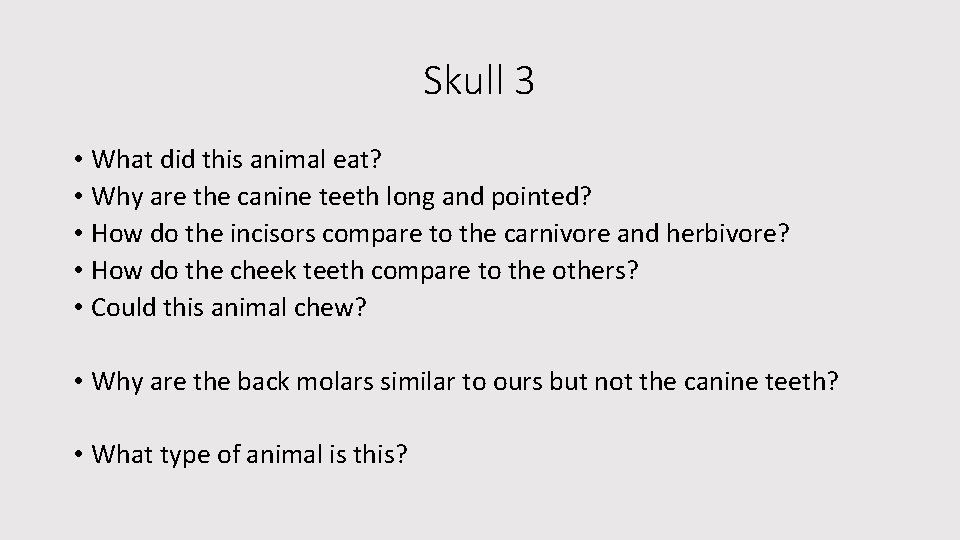 Skull 3 • What did this animal eat? • Why are the canine teeth