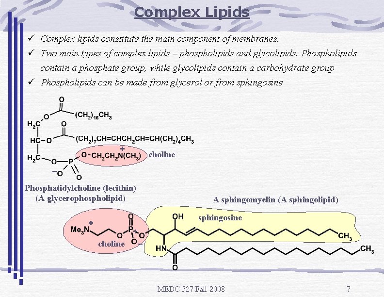 Complex Lipids ü Complex lipids constitute the main component of membranes. ü Two main