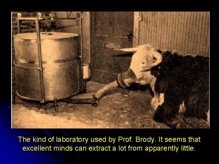 The kind of laboratory used by Prof. Brody. It seems that excellent minds can