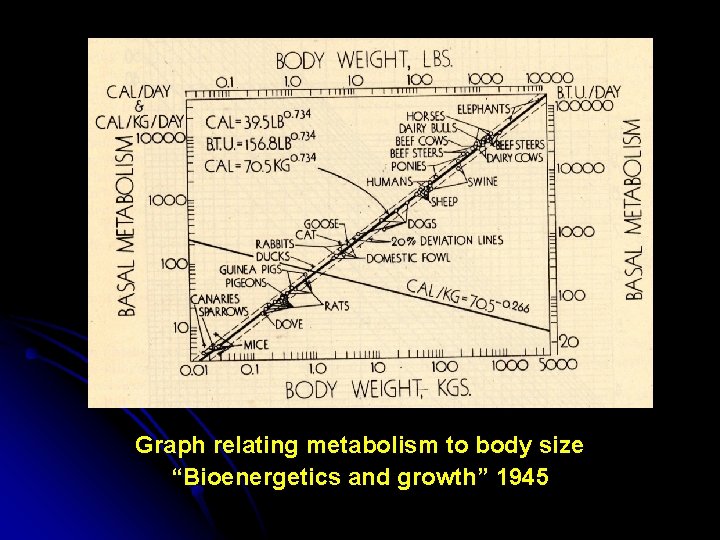 Graph relating metabolism to body size “Bioenergetics and growth” 1945 