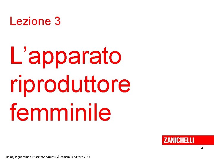 Lezione 3 L’apparato riproduttore femminile 14 Phelan, Pignocchino Le scienze naturali © Zanichelli editore Lezione 3 L’apparato riproduttore femminile 14 Phelan, Pignocchino Le scienze naturali © Zanichelli editore