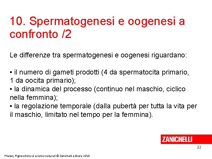 10. Spermatogenesi e oogenesi a confronto /2 Le differenze tra spermatogenesi e oogenesi riguardano: 10. Spermatogenesi e oogenesi a confronto /2 Le differenze tra spermatogenesi e oogenesi riguardano: