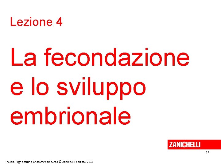 Lezione 4 La fecondazione e lo sviluppo embrionale 23 Phelan, Pignocchino Le scienze naturali Lezione 4 La fecondazione e lo sviluppo embrionale 23 Phelan, Pignocchino Le scienze naturali