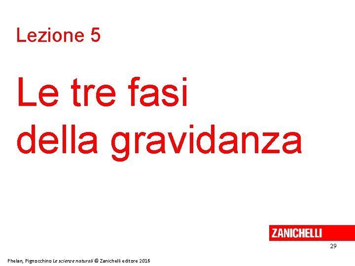 Lezione 5 Le tre fasi della gravidanza 29 Phelan, Pignocchino Le scienze naturali © Lezione 5 Le tre fasi della gravidanza 29 Phelan, Pignocchino Le scienze naturali ©