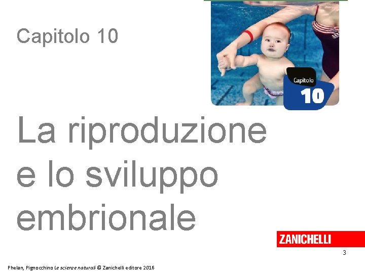 Capitolo 10 La riproduzione e lo sviluppo embrionale 3 Phelan, Pignocchino Le scienze naturali Capitolo 10 La riproduzione e lo sviluppo embrionale 3 Phelan, Pignocchino Le scienze naturali