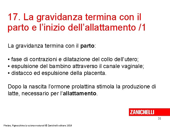 17. La gravidanza termina con il parto e l’inizio dell’allattamento /1 La gravidanza termina 17. La gravidanza termina con il parto e l’inizio dell’allattamento /1 La gravidanza termina