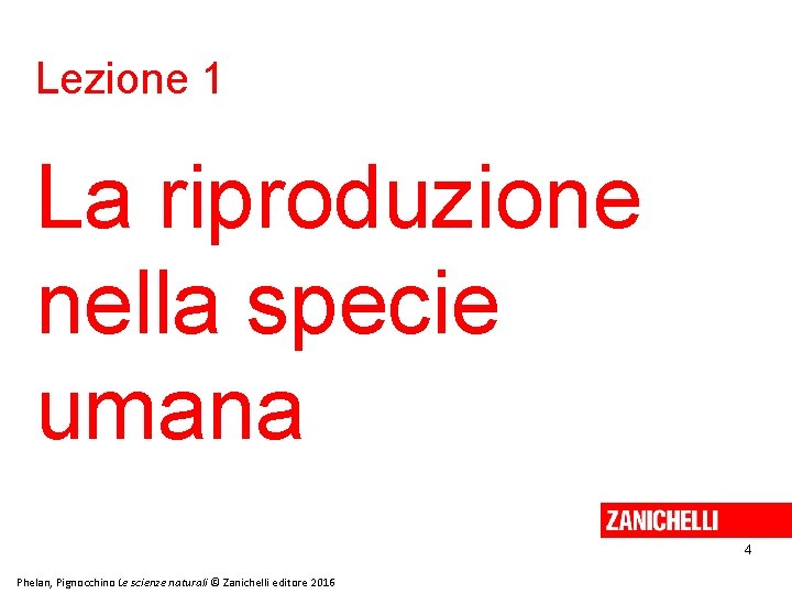 Lezione 1 La riproduzione nella specie umana 4 Phelan, Pignocchino Le scienze naturali © Lezione 1 La riproduzione nella specie umana 4 Phelan, Pignocchino Le scienze naturali ©