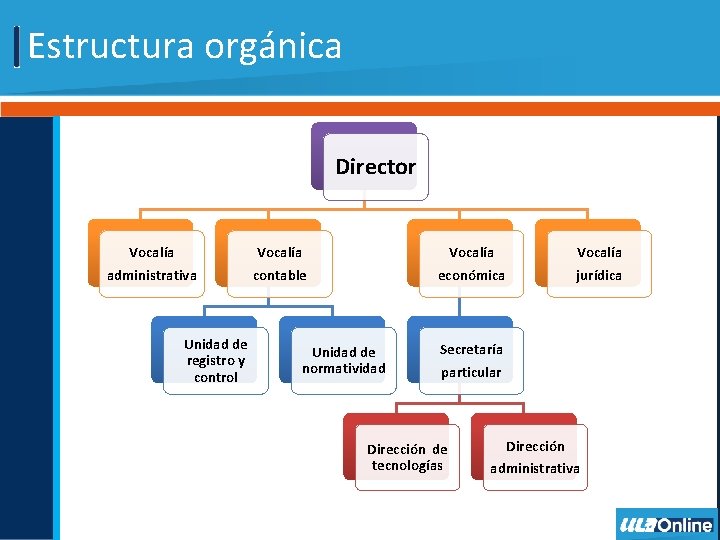 Estructura orgánica Director Vocalía administrativa Unidad de registro y control Vocalía contable Vocalía económica