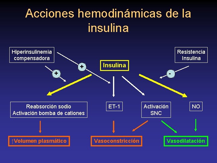 Acciones hemodinámicas de la insulina Hiperinsulinemia compensadora Resistencia Insulina + Reabsorción sodio Activación bomba