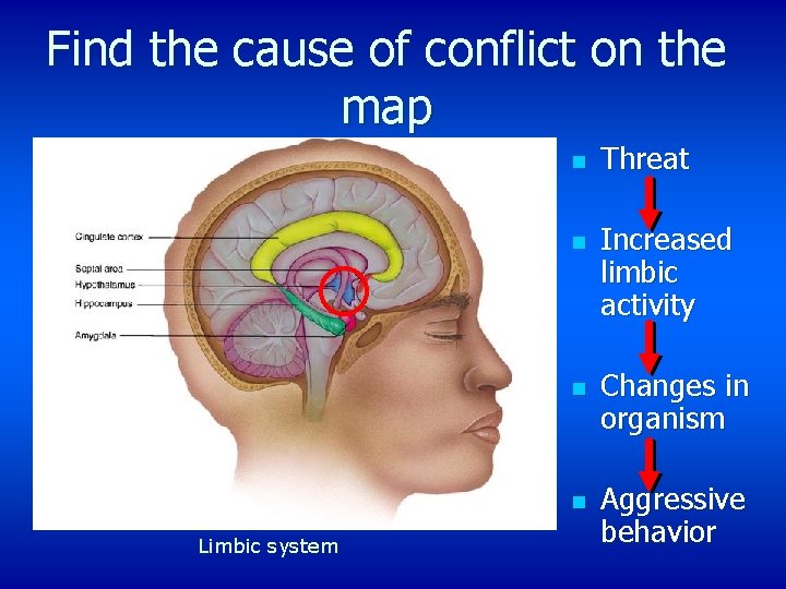 Find the cause of conflict on the map n n Limbic system Threat Increased