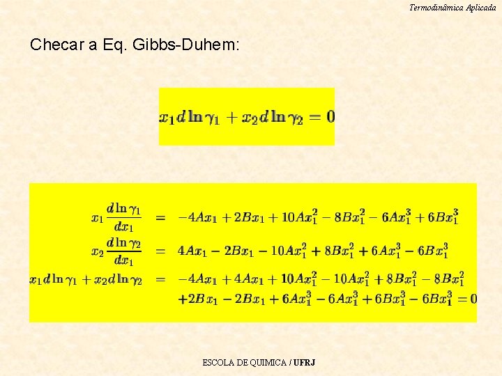 Termodinâmica Aplicada Checar a Eq. Gibbs-Duhem: ESCOLA DE QUIMICA / UFRJ 