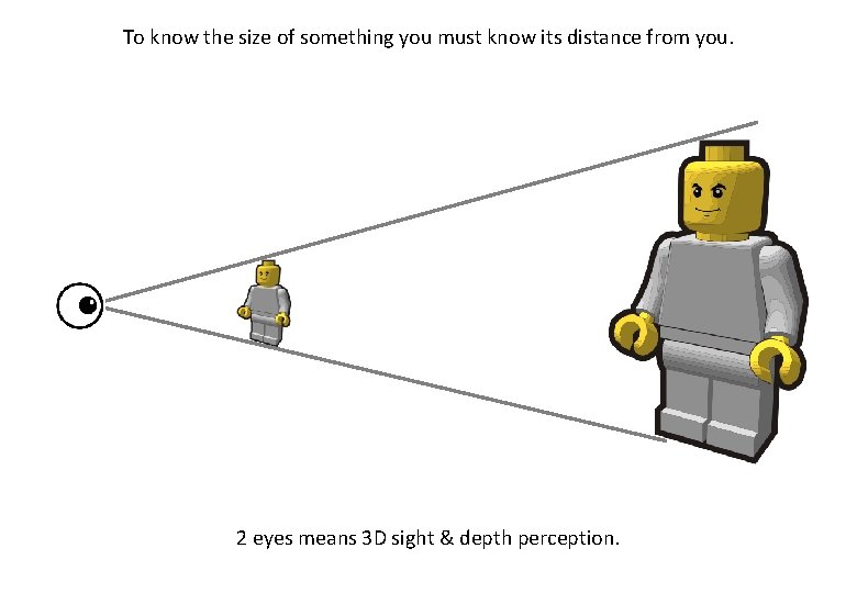 To know the size of something you must know its distance from you. 2