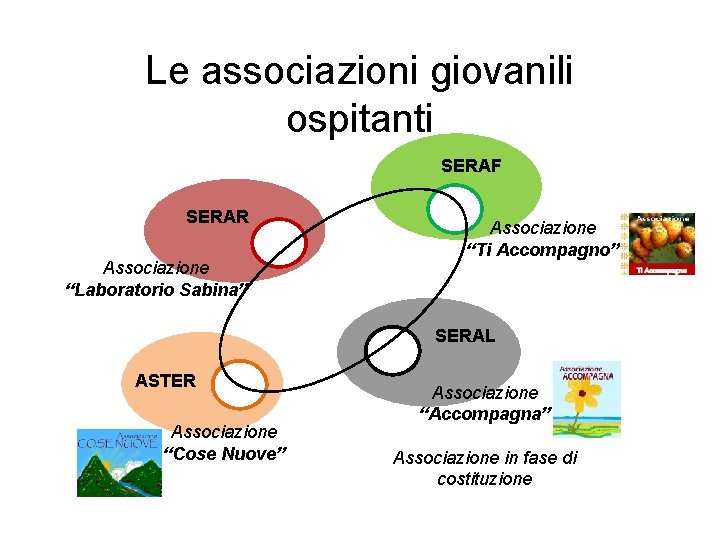 Le associazioni giovanili ospitanti SERAF SERAR Associazione “Laboratorio Sabina” Associazione “Ti Accompagno” SERAL ASTER