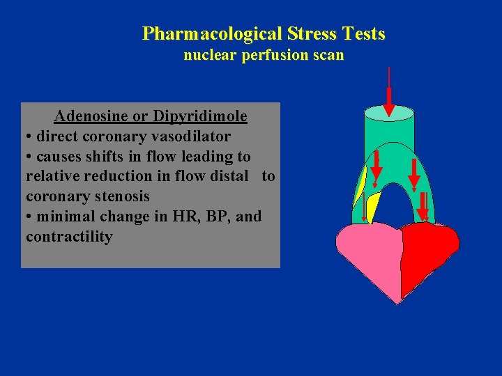 Pharmacological Stress Tests nuclear perfusion scan Adenosine or Dipyridimole • direct coronary vasodilator •