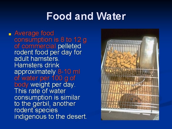 Food and Water ■ Average food consumption is 8 to 12 g of commercial Food and Water ■ Average food consumption is 8 to 12 g of commercial