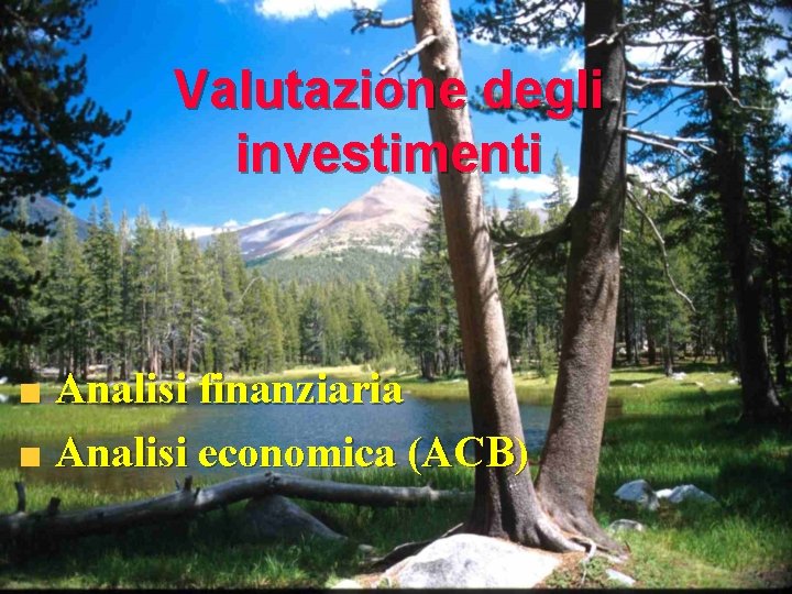 Valutazione degli investimenti Analisi finanziaria Analisi economica (ACB) 