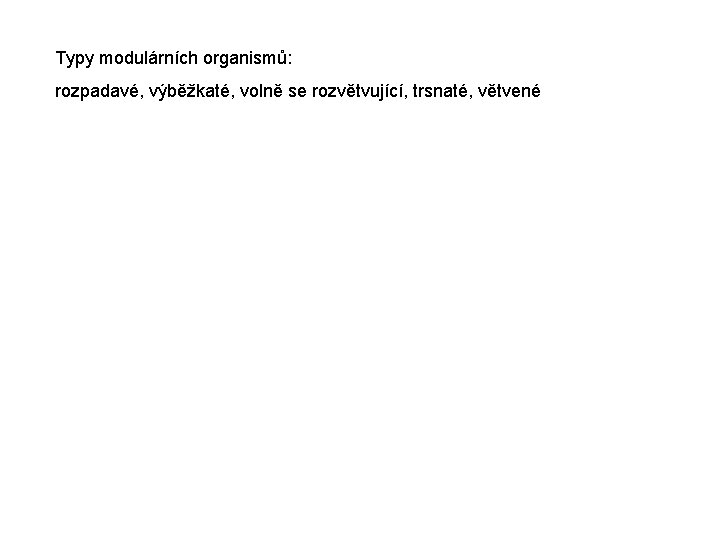 Typy modulárních organismů: rozpadavé, výběžkaté, volně se rozvětvující, trsnaté, větvené Typy modulárních organismů: rozpadavé, výběžkaté, volně se rozvětvující, trsnaté, větvené