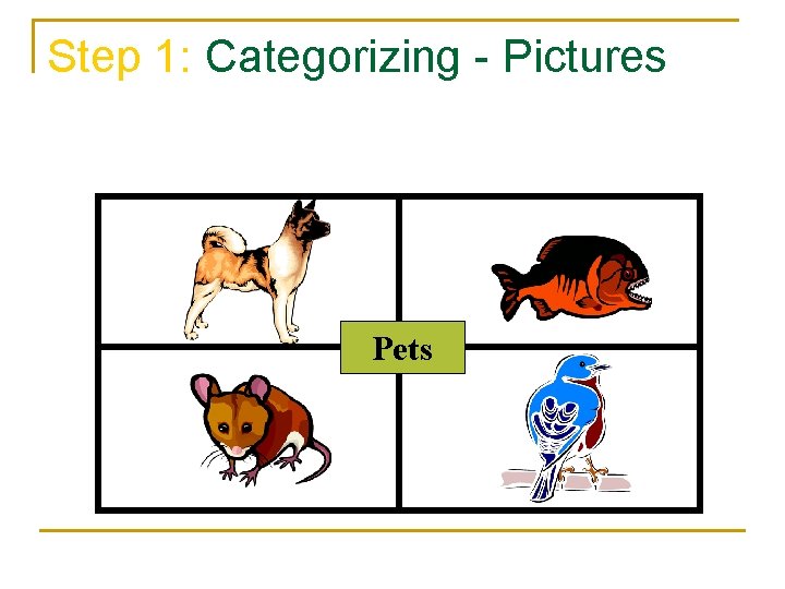 Step 1: Categorizing - Pictures Pets 