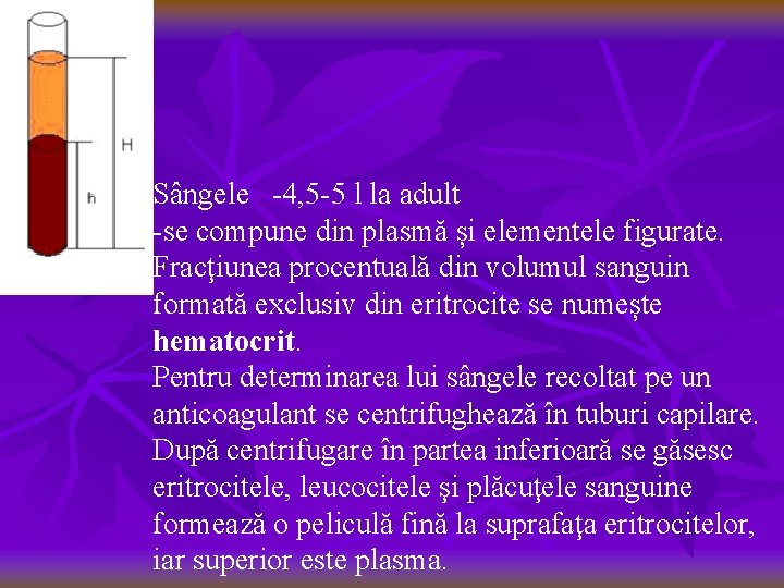 Sângele -4, 5 -5 l la adult -se compune din plasmă și elementele figurate.