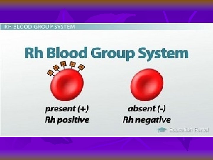 Grupa sanguină 4 pozitivă: descriere