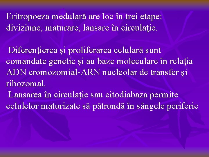 Eritropoeza medulară are loc în trei etape: diviziune, maturare, lansare în circulaţie. Diferențierea și