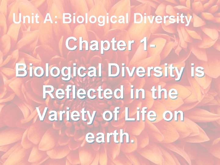 Unit A: Biological Diversity Chapter 1 Biological Diversity is Reflected in the Variety of