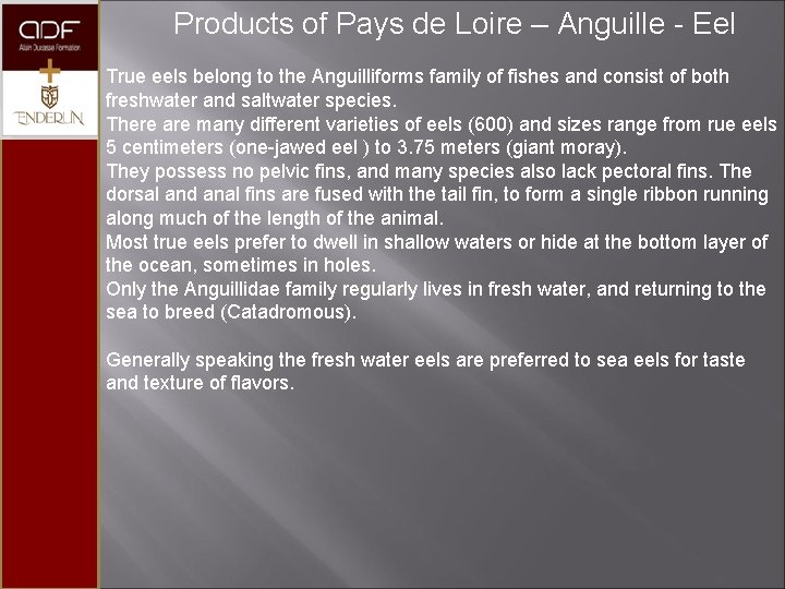  Products of Pays de Loire – Anguille - Eel True eels belong to