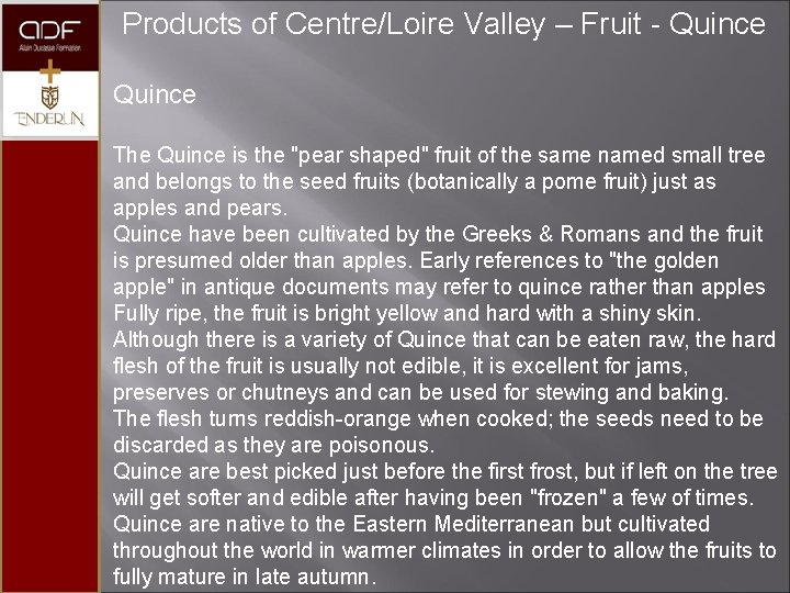  Products of Centre/Loire Valley – Fruit - Quince The Quince is the "pear