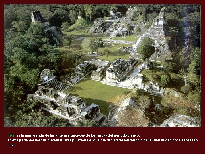 Tikal es la más grande de las antiguas ciudades de los mayas del período