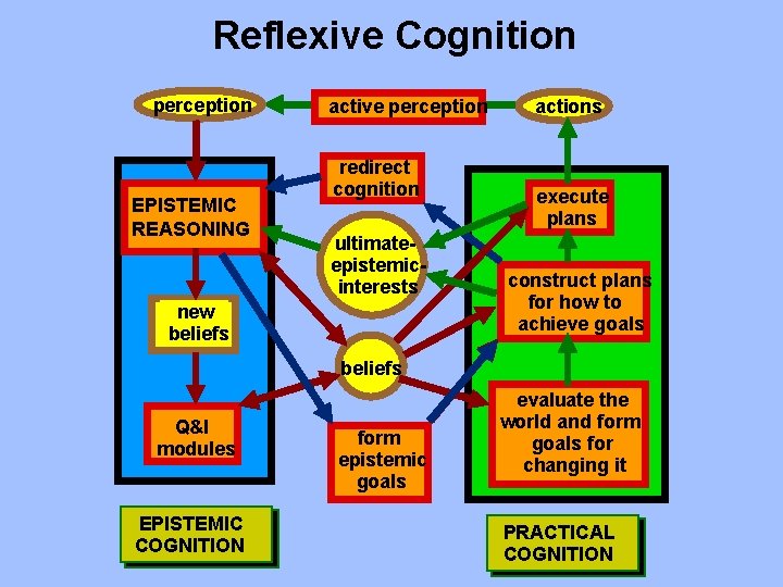 Reflexive Cognition perception EPISTEMIC REASONING active perception redirect cognition ultimateepistemicinterests new beliefs actions execute