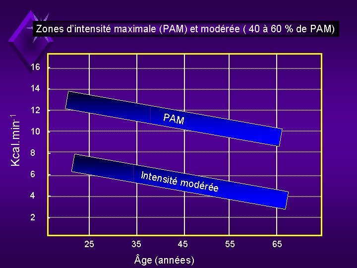 Zones d’intensité maximale (PAM) et modérée ( 40 à 60 % de PAM) 16