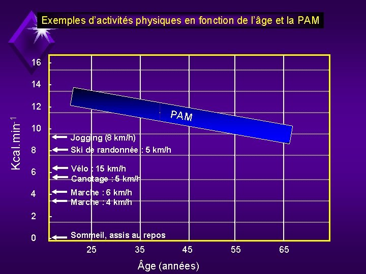 Exemples d’activités physiques en fonction de l’âge et la PAM 16 14 - Kcal.