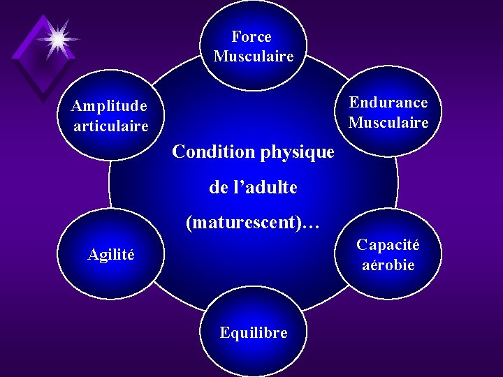 Force Musculaire Endurance Musculaire Amplitude articulaire Condition physique de l’adulte (maturescent)… Capacité aérobie Agilité